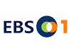 EBS 1 Live Stream (South Korea)